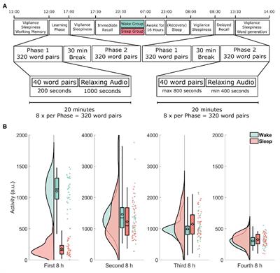 Vast Amounts of Encoded Items Nullify but Do Not Reverse the Effect of Sleep on Declarative Memory